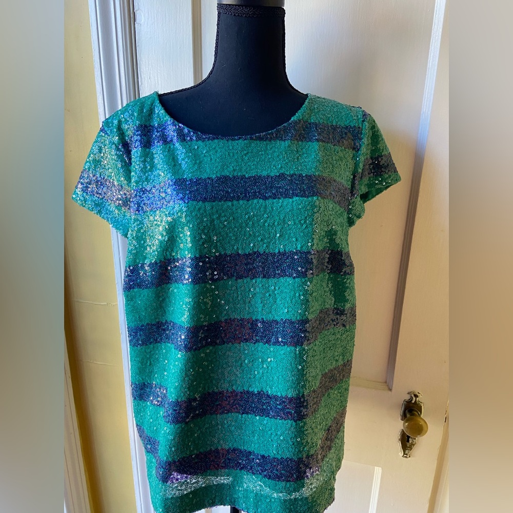 Short sleeve sequin top. Lined. Green with navy blue stripes.  NWT